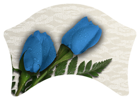 DABAN-051 2 Roses Blue